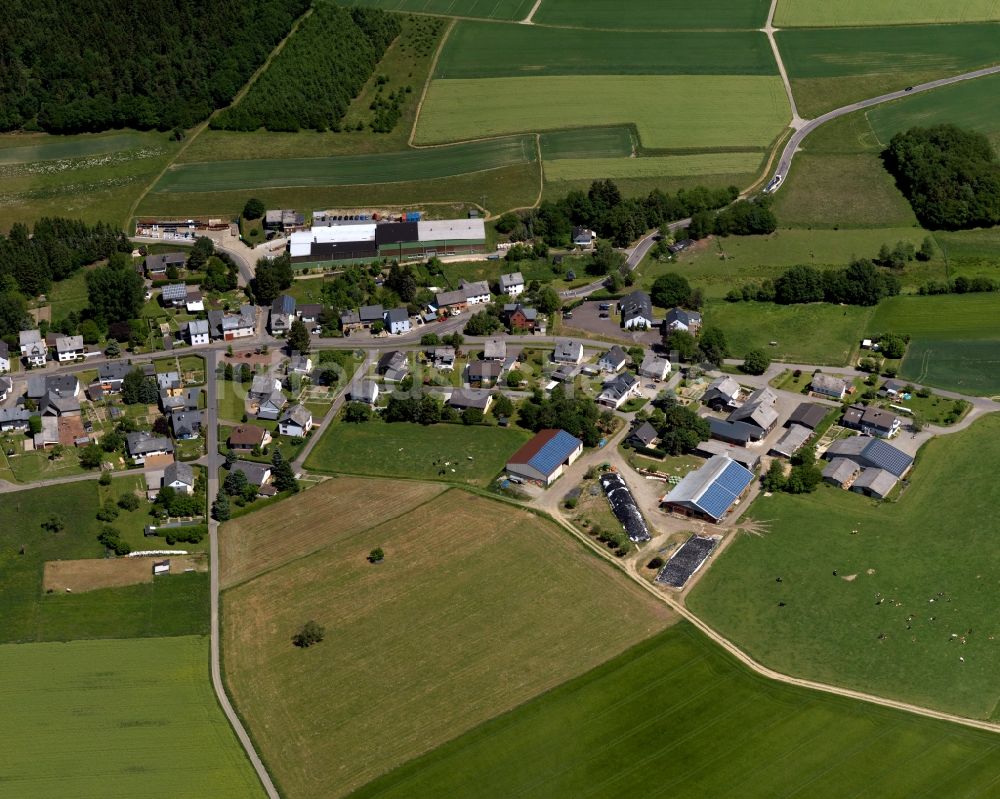 Luftbild Bickenbach - Ortsansicht der Ortsgemeinde Bickenbach im Bundesland Rheinland-Pfalz