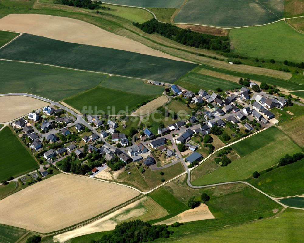 Luftbild Birkheim - Ortsansicht der Ortsgemeinde Birkheim im Bundesland Rheinland-Pfalz