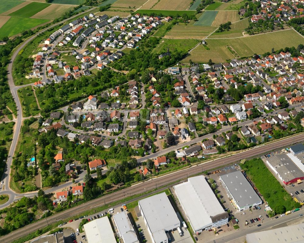 Luftaufnahme Bodenheim - Ortsansicht der Ortsgemeinde Bodenheim im Bundesland Rheinland-Pfalz