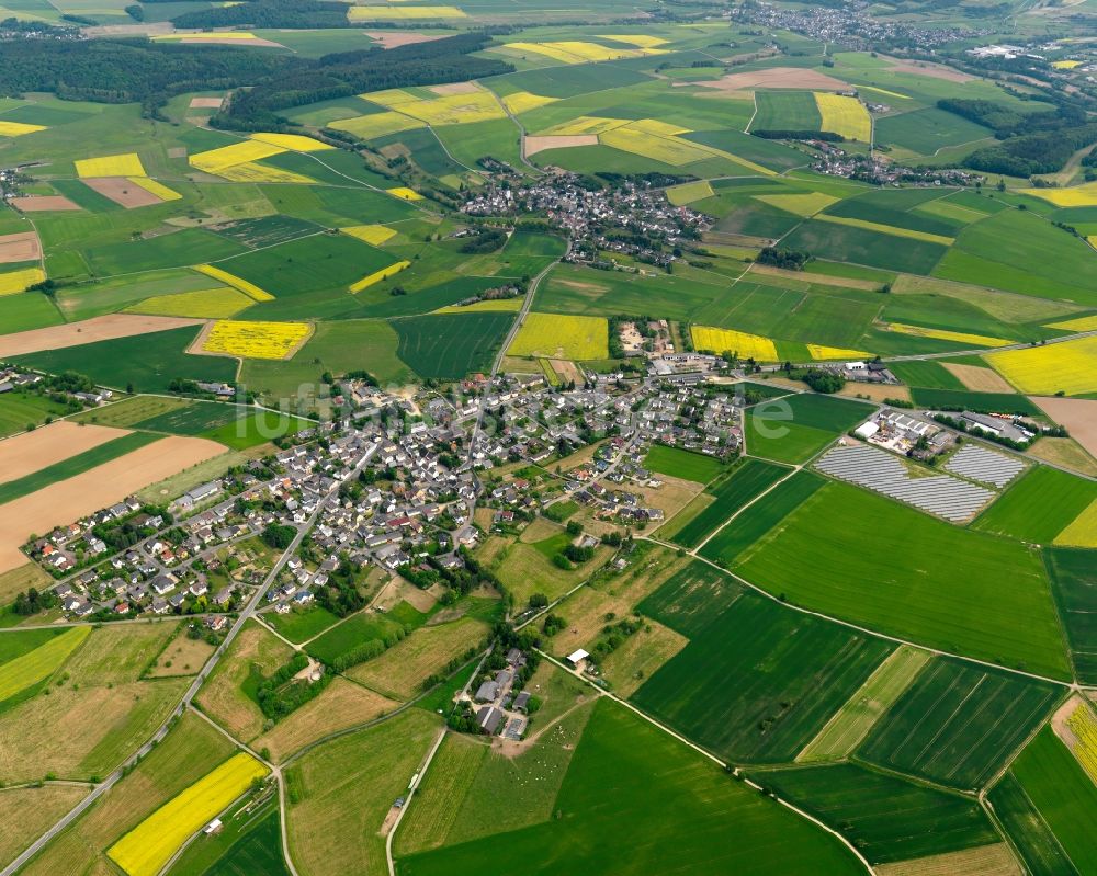 Luftaufnahme Bogel - Ortsansicht der Ortsgemeinde Bogel im Bundesland Rheinland-Pfalz