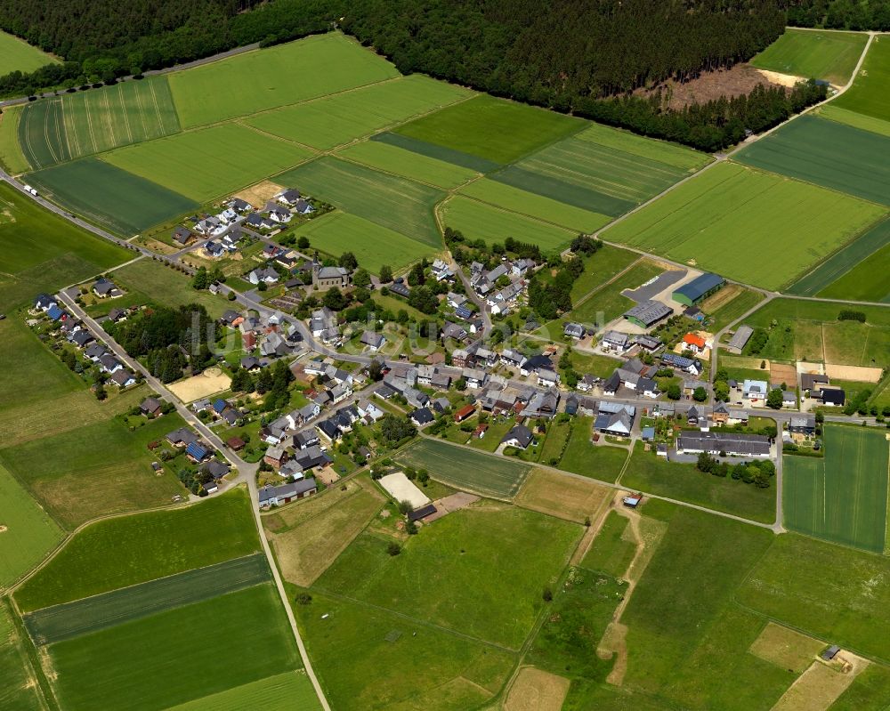 Luftbild Braunshorn - Ortsansicht der Ortsgemeinde Braunshorn im Bundesland Rheinland-Pfalz