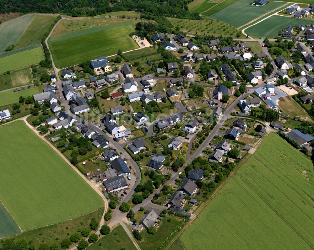 Damscheid von oben - Ortsansicht der Ortsgemeinde Damscheid im Bundesland Rheinland-Pfalz