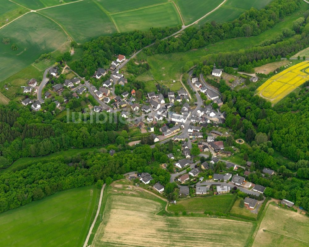 Diethardt von oben - Ortsansicht der Ortsgemeinde Diethardt im Bundesland Rheinland-Pfalz