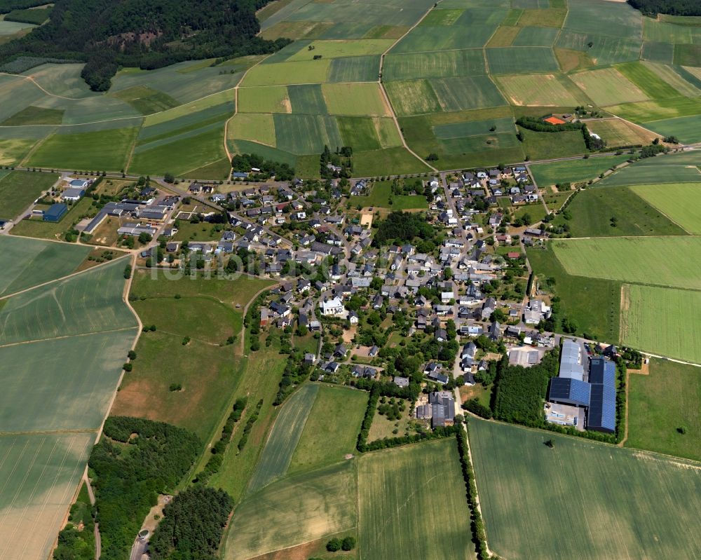 Dommershausen aus der Vogelperspektive: Ortsansicht der Ortsgemeinde Dommershausen im Bundesland Rheinland-Pfalz