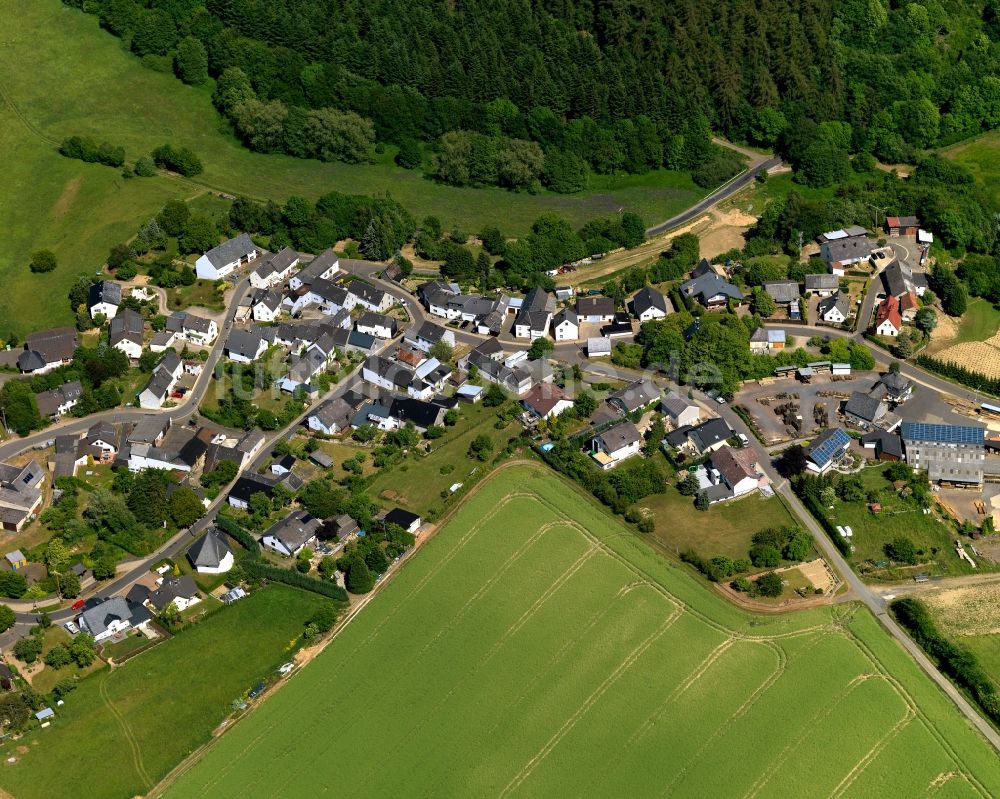 Luftbild Eppenberg - Ortsansicht der Ortsgemeinde Eppenberg im Bundesland Rheinland-Pfalz