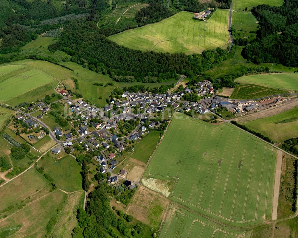 Luftaufnahme Eppenberg - Ortsansicht der Ortsgemeinde Eppenberg im Bundesland Rheinland-Pfalz