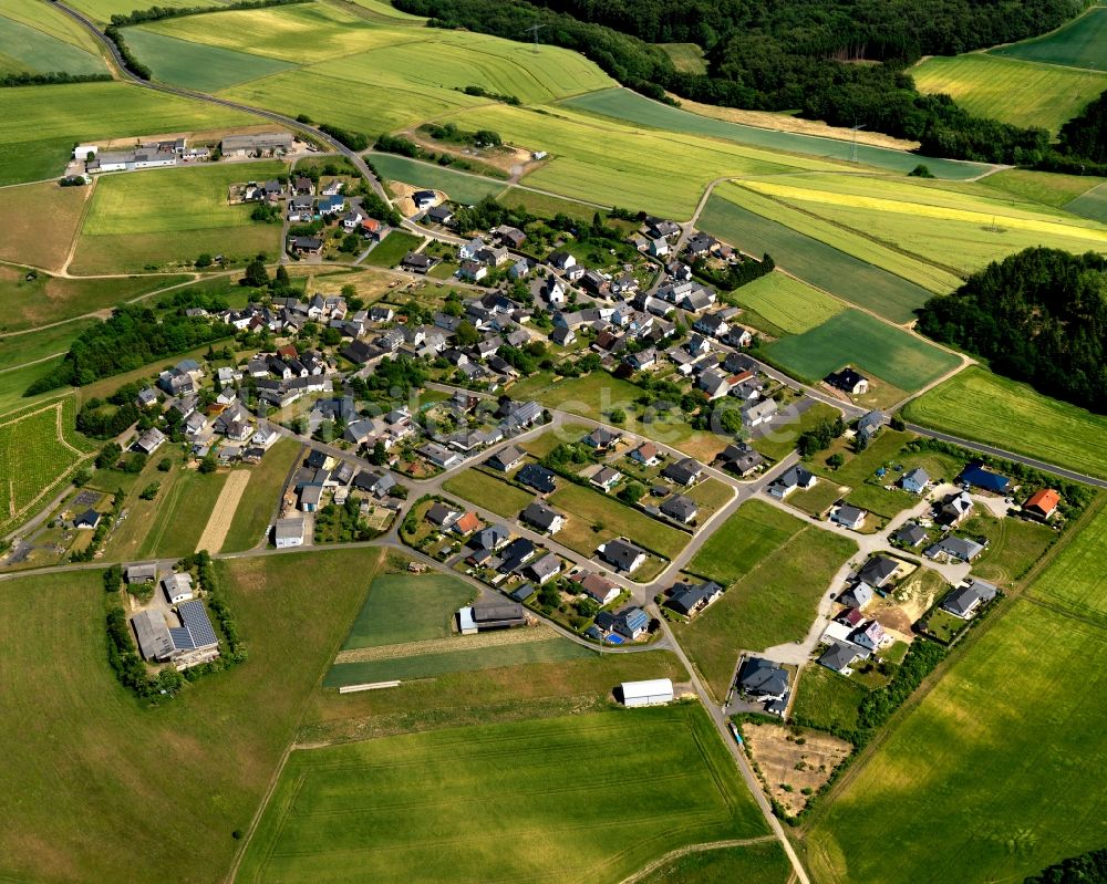 Hauroth von oben - Ortsansicht der Ortsgemeinde Hauroth im Bundesland Rheinland-Pfalz