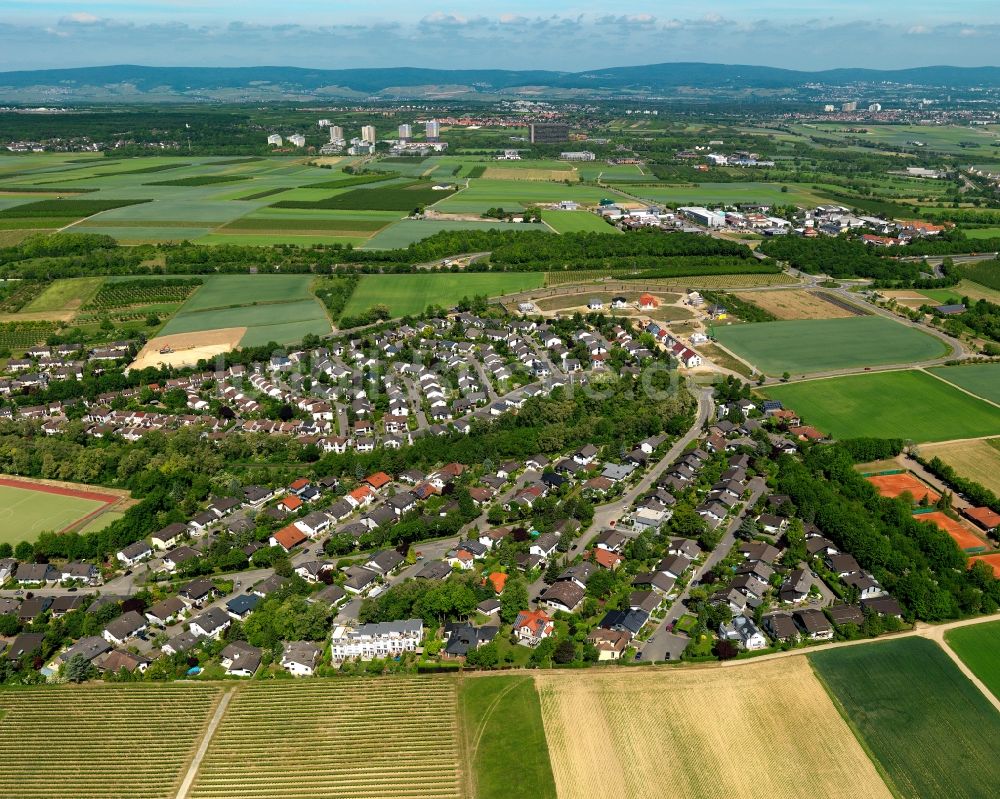 Luftbild Klein-Winternheim - Ortsansicht der Ortsgemeinde Klein-Winternheim im Bundesland Rheinland-Pfalz