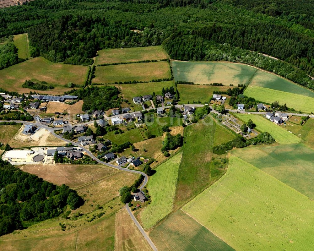 Luftaufnahme Leienkaul - Ortsansicht der Ortsgemeinde Leienkaul im Bundesland Rheinland-Pfalz