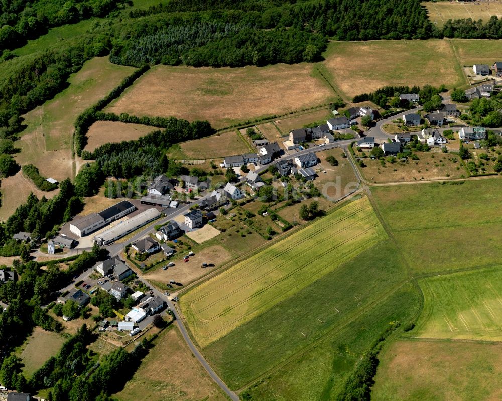 Leienkaul aus der Vogelperspektive: Ortsansicht der Ortsgemeinde Leienkaul im Bundesland Rheinland-Pfalz