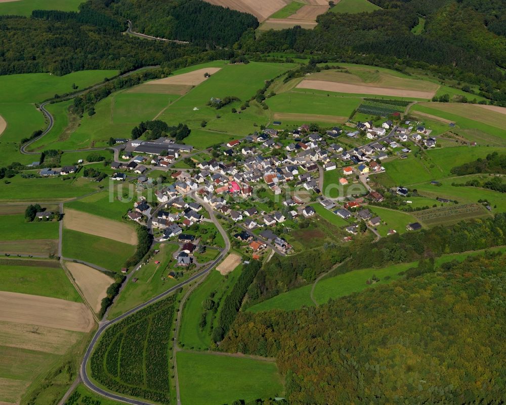 Luftaufnahme Münk - Ortsansicht der Ortsgemeinde Münk im Bundesland Rheinland-Pfalz