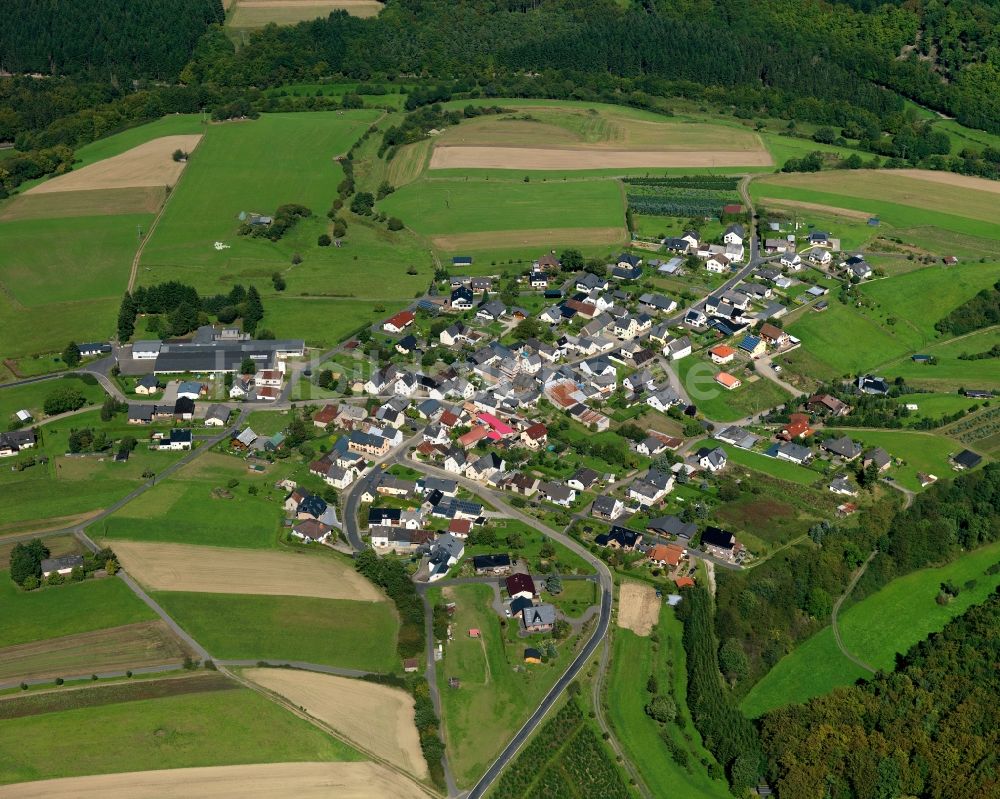 Münk von oben - Ortsansicht der Ortsgemeinde Münk im Bundesland Rheinland-Pfalz