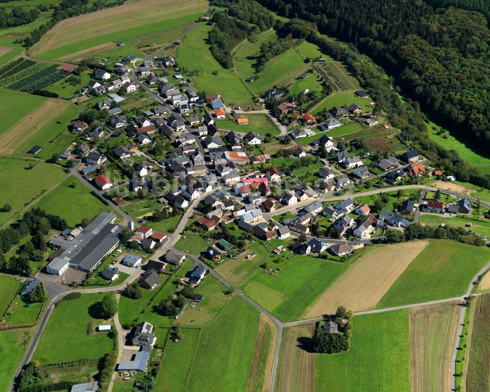 Münk aus der Vogelperspektive: Ortsansicht der Ortsgemeinde Münk im Bundesland Rheinland-Pfalz