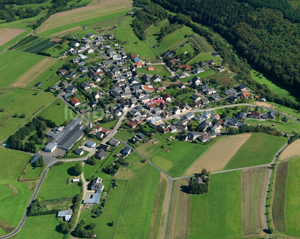 Luftbild Münk - Ortsansicht der Ortsgemeinde Münk im Bundesland Rheinland-Pfalz