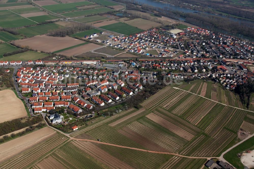 Luftaufnahme Nackenheim - Ortsansicht der Ortsgemeinde Nackenheim im Bundesland Rheinland-Pfalz