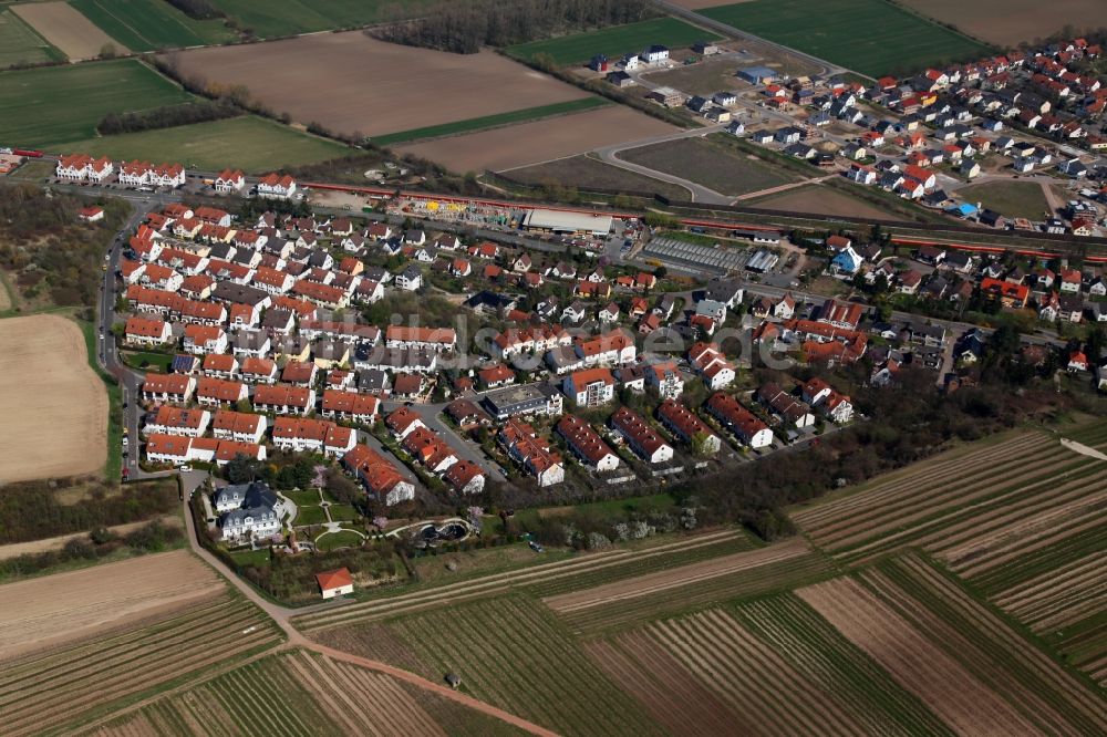 Nackenheim von oben - Ortsansicht der Ortsgemeinde Nackenheim im Bundesland Rheinland-Pfalz