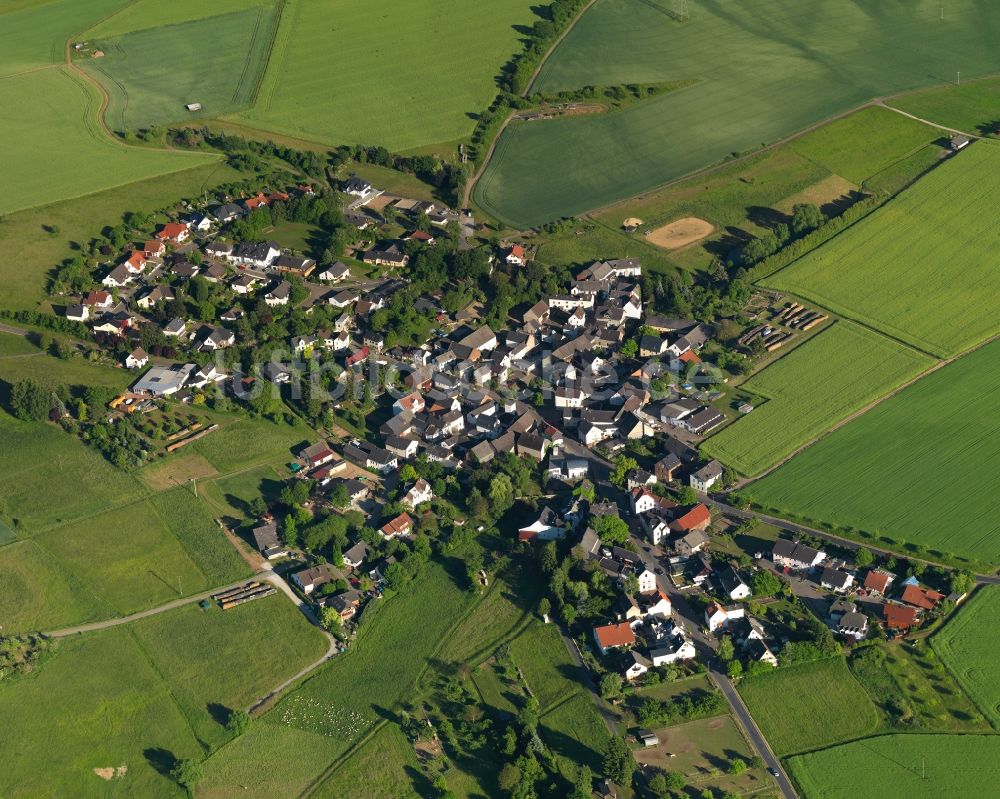 Netzbach von oben - Ortsansicht der Ortsgemeinde Netzbach im Bundesland Rheinland-Pfalz