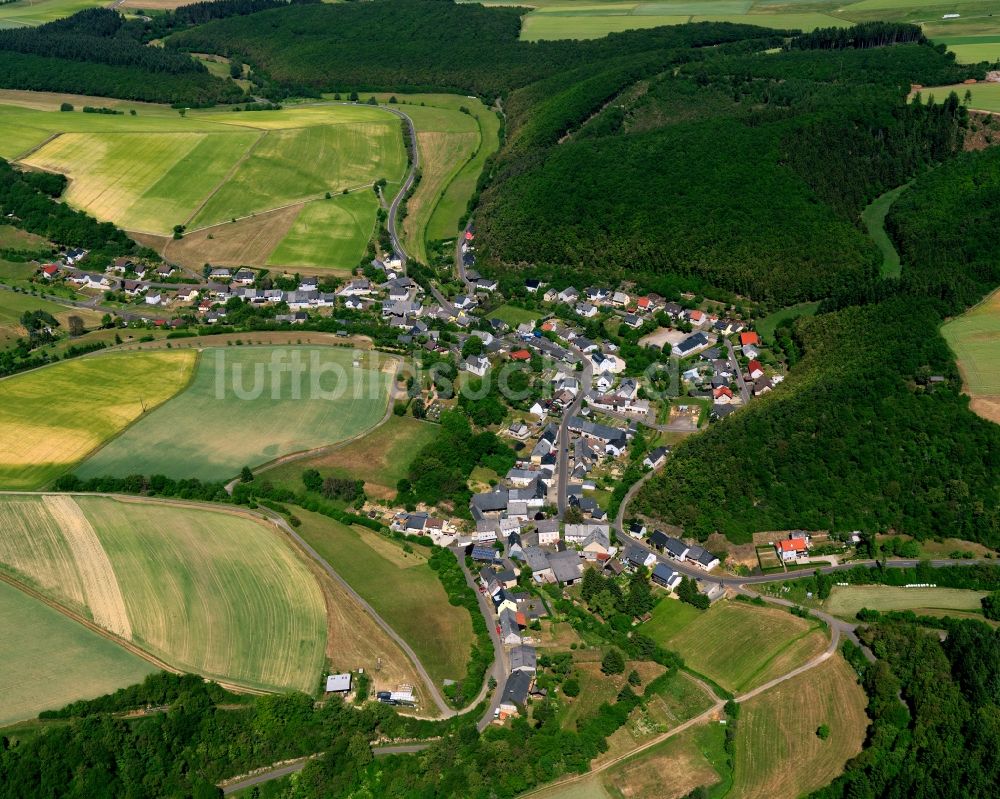 Niederhosenbach von oben - Ortsansicht der Ortsgemeinde Niederhosenbach im Bundesland Rheinland-Pfalz