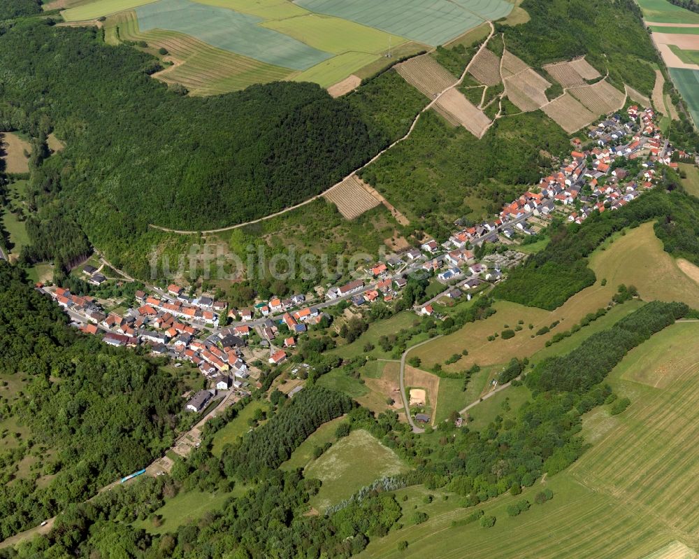 Luftaufnahme Raumbach - Ortsansicht der Ortsgemeinde Raumbach im Bundesland Rheinland-Pfalz