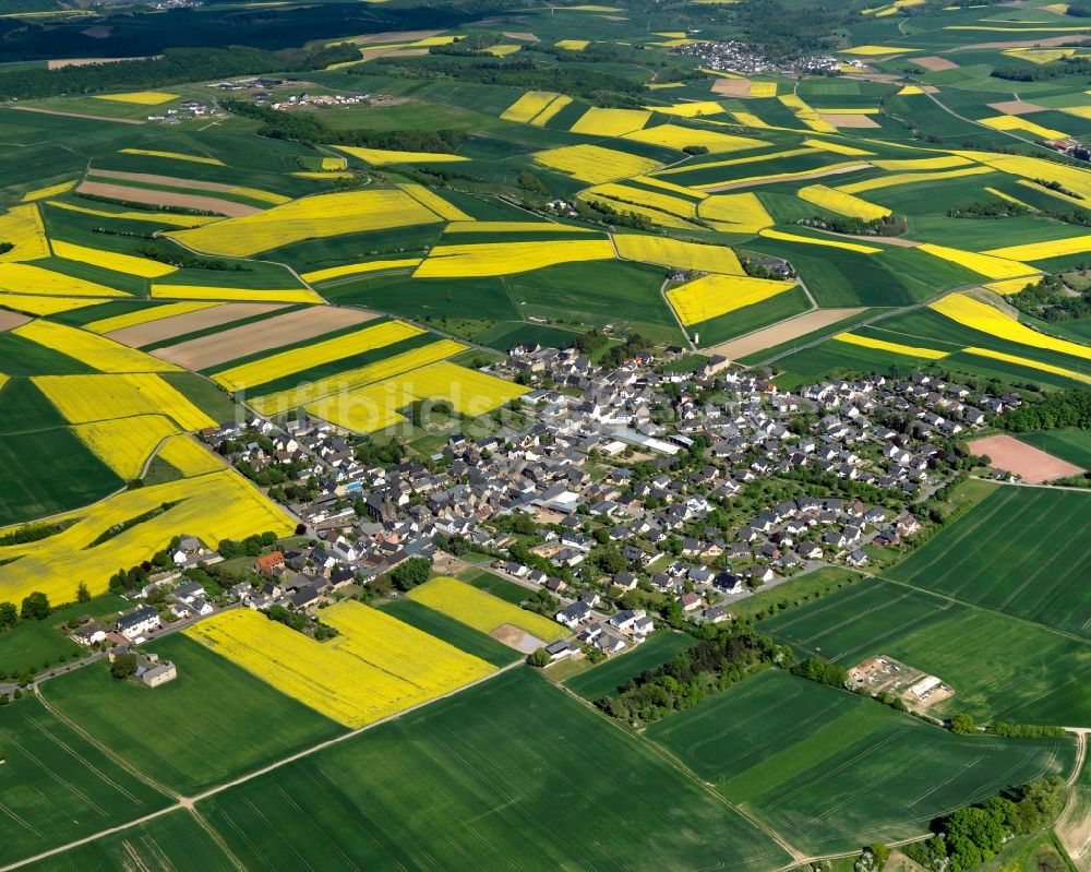 Rüber aus der Vogelperspektive: Ortsansicht der Ortsgemeinde Rüber im Bundesland Rheinland-Pfalz