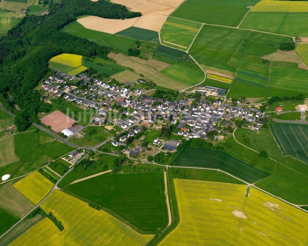 Luftbild Reitzenhain - Ortsansicht der Ortsgemeinde Reitzenhain im Bundesland Rheinland-Pfalz