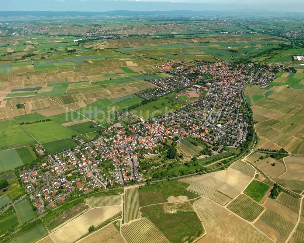 Saulheim von oben - Ortsansicht der Ortsgemeinde Saulheim im Bundesland Rheinland-Pfalz