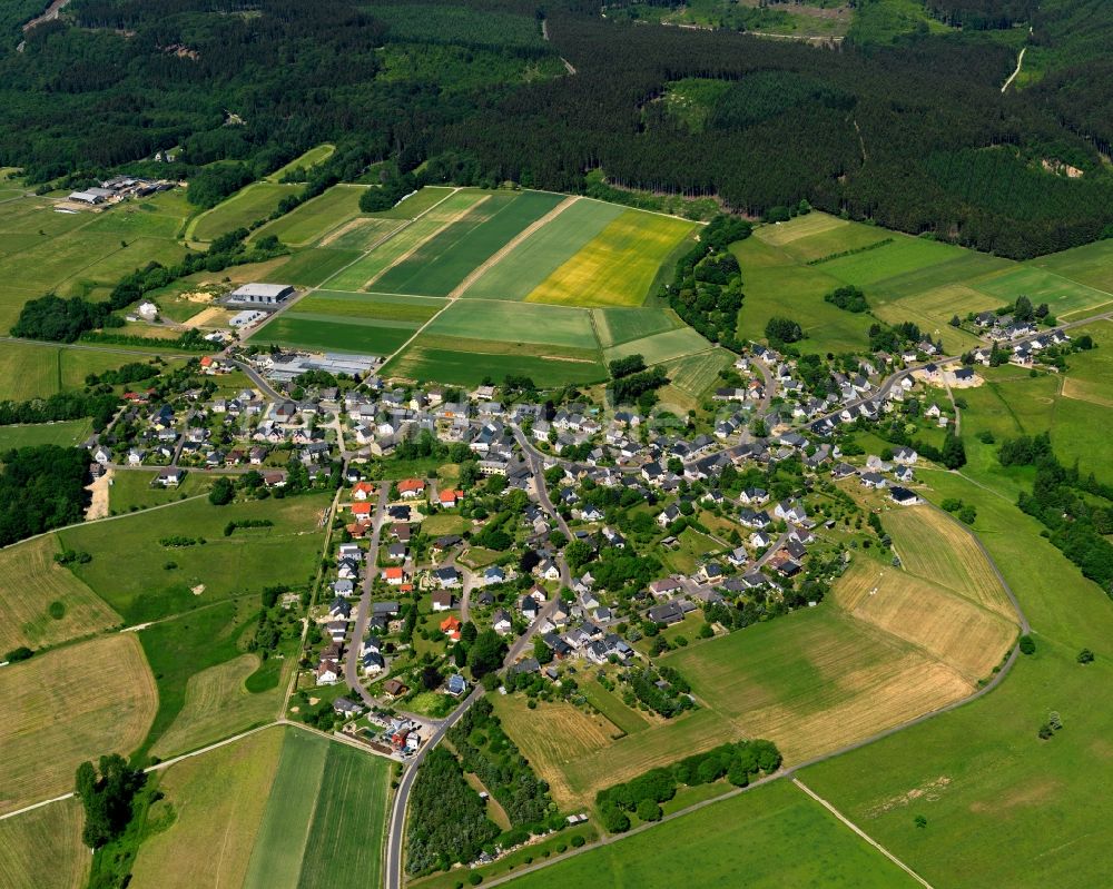 Luftaufnahme Schauren - Ortsansicht der Ortsgemeinde Schauren im Bundesland Rheinland-Pfalz