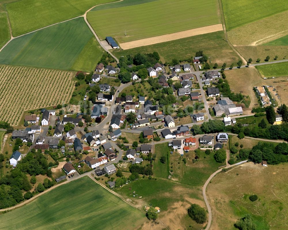 Schmitt von oben - Ortsansicht der Ortsgemeinde Schmitt im Bundesland Rheinland-Pfalz