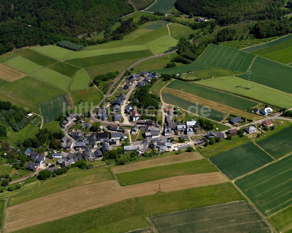 Thörlingen aus der Vogelperspektive: Ortsansicht der Ortsgemeinde Thörlingen im Bundesland Rheinland-Pfalz