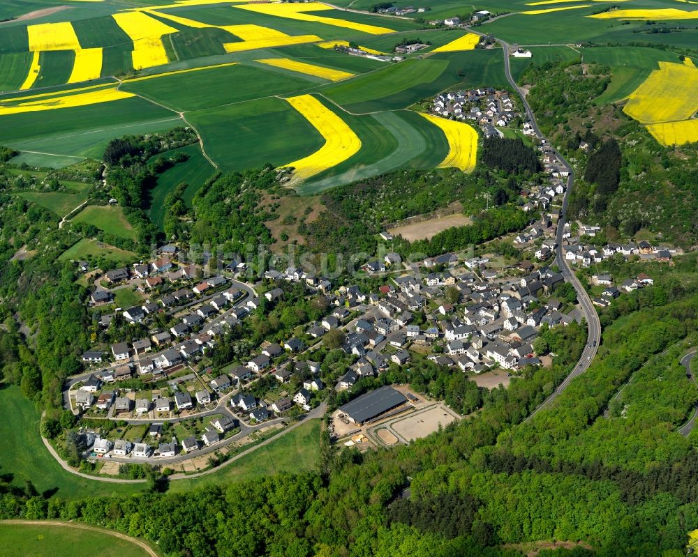 Luftbild Trimbs - Ortsansicht der Ortsgemeinde Trimbs im Bundesland Rheinland-Pfalz