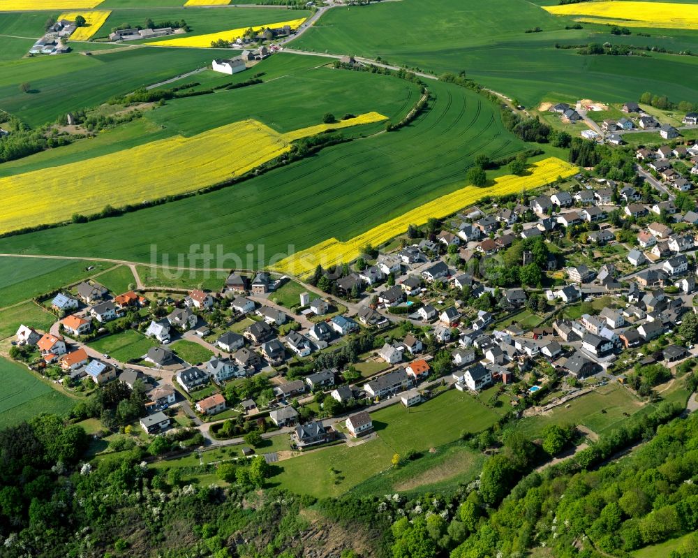 Welling von oben - Ortsansicht der Ortsgemeinde Welling im Bundesland Rheinland-Pfalz