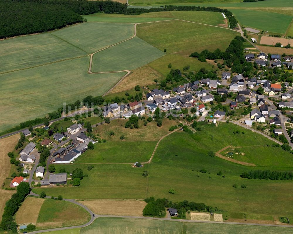 Luftbild Wickenrodt - Ortsansicht der Ortsgemeinde Wickenrodt im Bundesland Rheinland-Pfalz