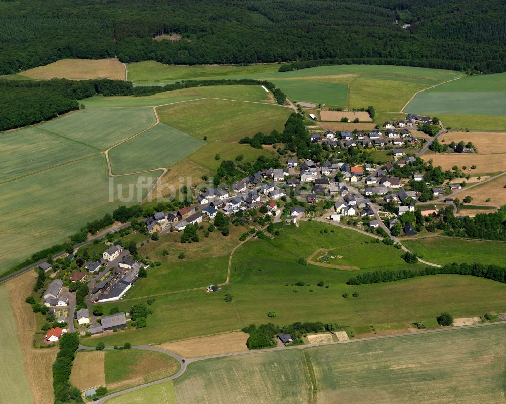 Luftaufnahme Wickenrodt - Ortsansicht der Ortsgemeinde Wickenrodt im Bundesland Rheinland-Pfalz