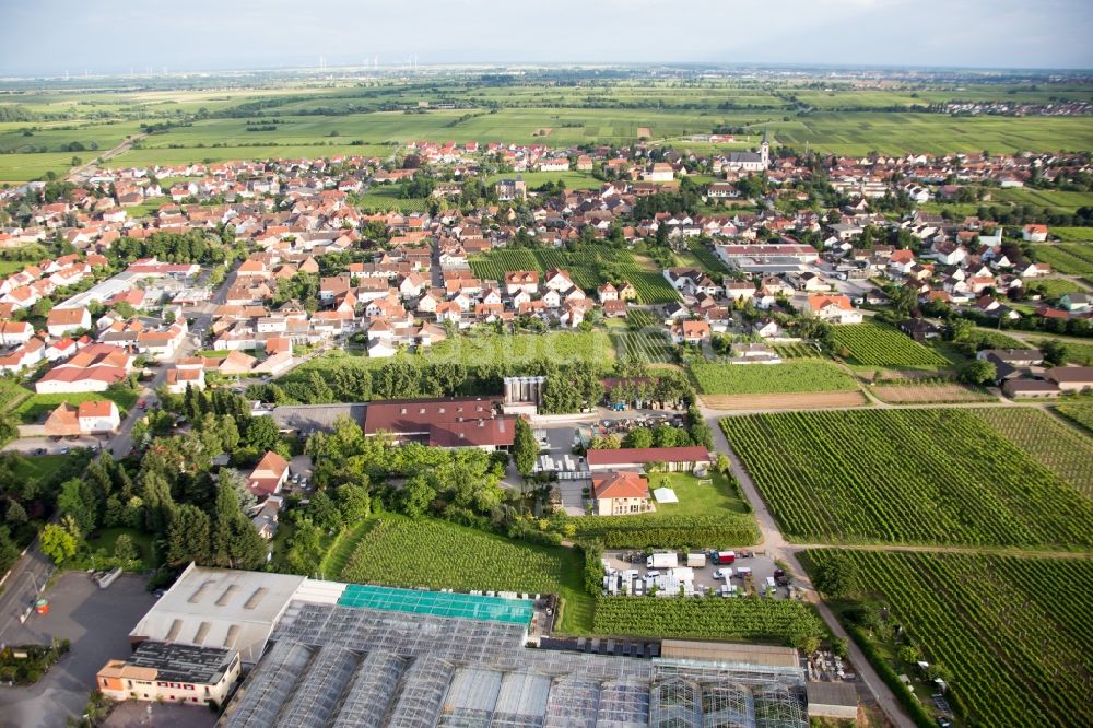 Luftbild Edesheim - Ortsansicht im Ortsteil Eckel in Edesheim im Bundesland Rheinland-Pfalz