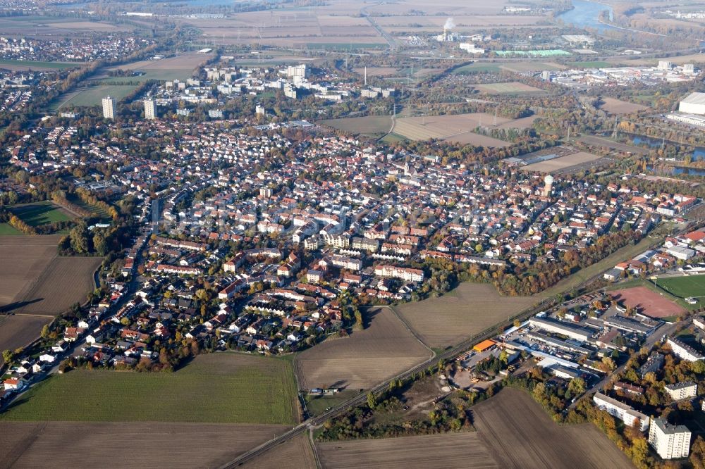 Ludwigshafen am Rhein von oben - Ortsansicht im Ortsteil Edigheim in Ludwigshafen am Rhein im Bundesland Rheinland-Pfalz