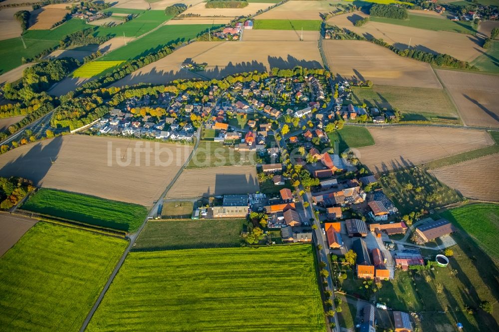 Werne aus der Vogelperspektive: Ortsansicht im Ortsteil Horst in Werne im Bundesland Nordrhein-Westfalen