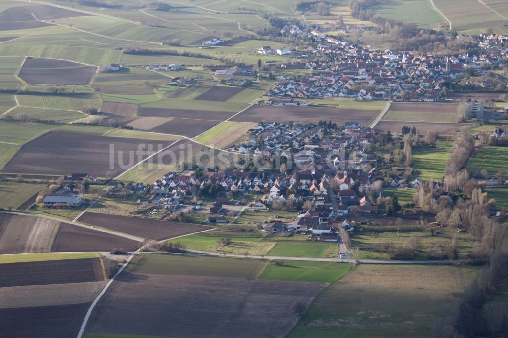 Billigheim-Ingenheim aus der Vogelperspektive: Ortsansicht im Ortsteil Ingenheim in Billigheim-Ingenheim im Bundesland Rheinland-Pfalz