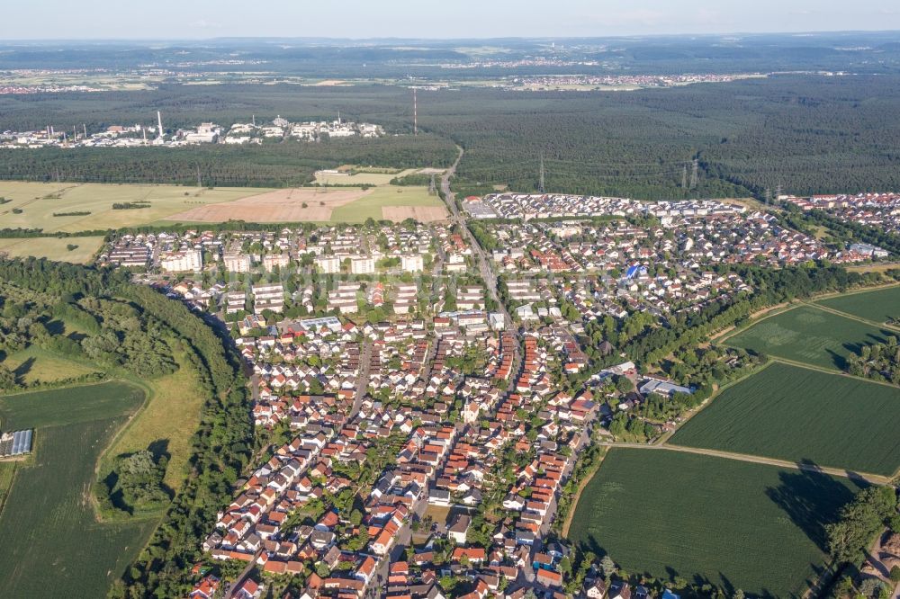 Luftbild Eggenstein-Leopoldshafen - Ortsansicht im Ortsteil Leopoldshafen in Eggenstein-Leopoldshafen im Bundesland Baden-Württemberg, Deutschland