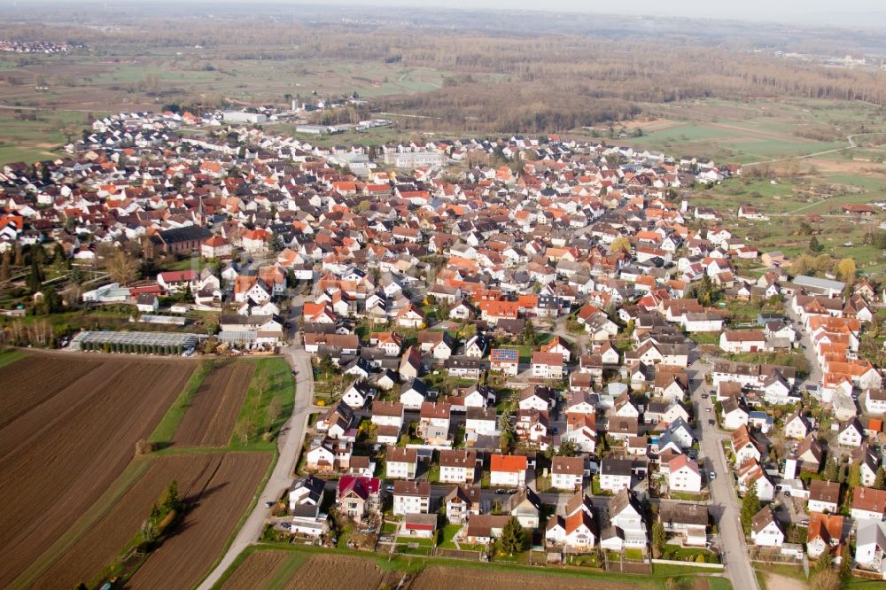 Au am Rhein von oben - Ortsansicht im Ortsteil Neuburgweier in Au am Rhein im Bundesland Baden-Württemberg