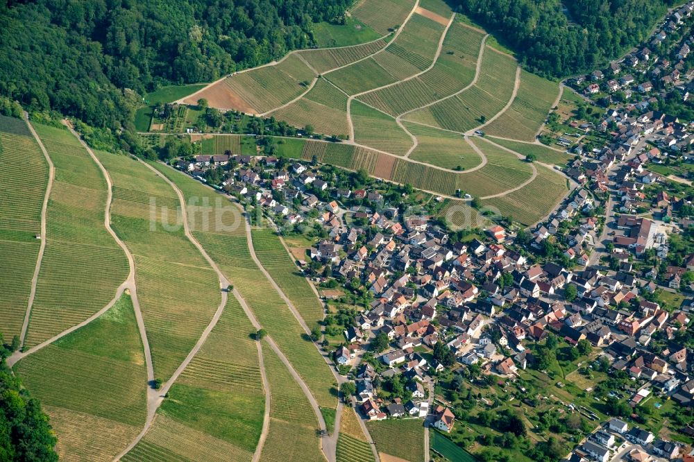 Luftaufnahme Pfaffenweiler - Ortsansicht in Pfaffenweiler im Bundesland Baden-Württemberg, Deutschland