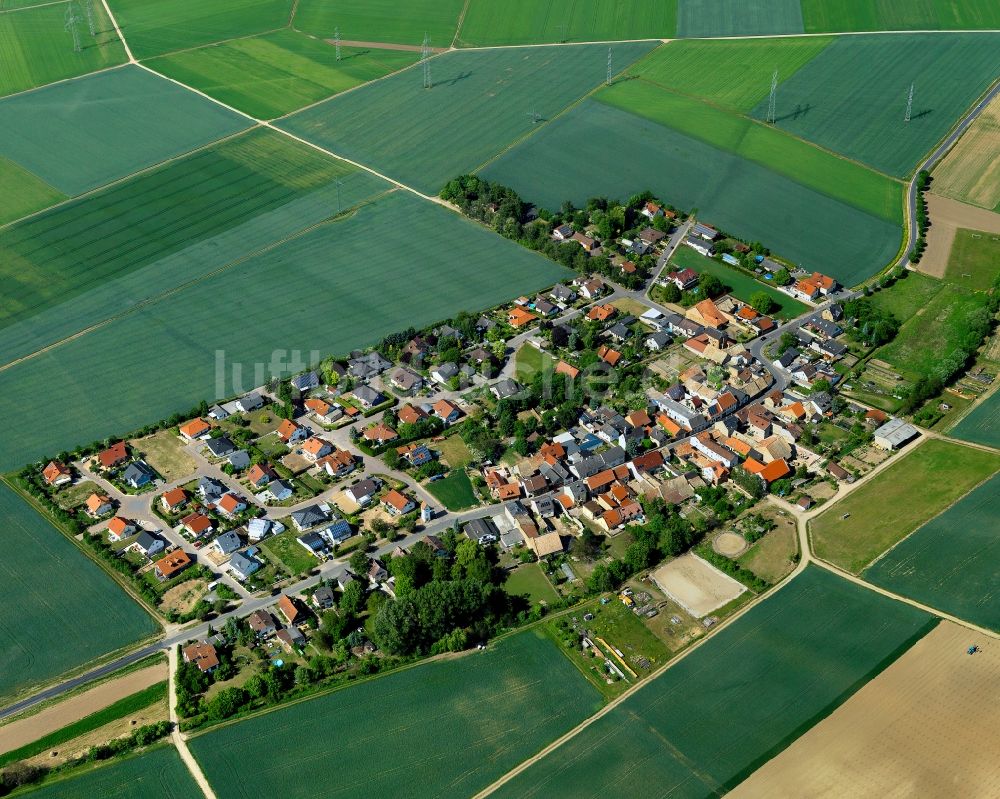 Luftaufnahme Pleitersheim - Ortsansicht von Pleitersheim im Bundesland Rheinland-Pfalz