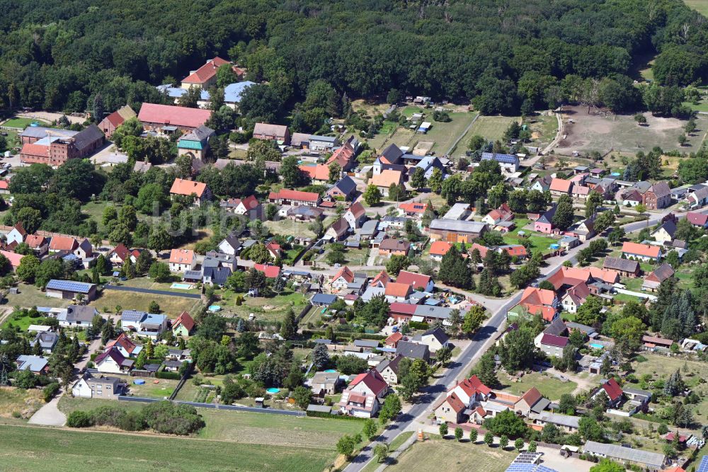 Luftbild Priorau - Ortsansicht in Priorau im Bundesland Sachsen-Anhalt, Deutschland