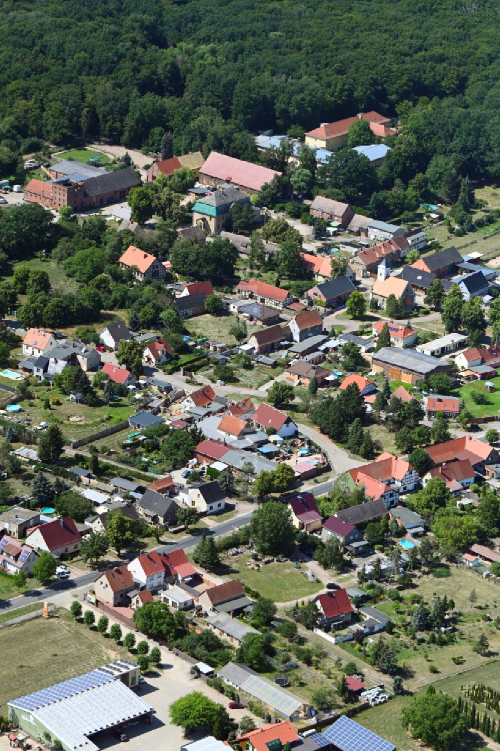 Luftaufnahme Priorau - Ortsansicht in Priorau im Bundesland Sachsen-Anhalt, Deutschland