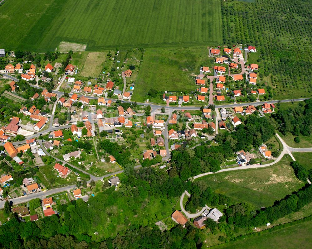 Luftbild Abbenrode - Ortsansicht am Rande von landwirtschaftlichen Feldern in Abbenrode im Bundesland Sachsen-Anhalt, Deutschland