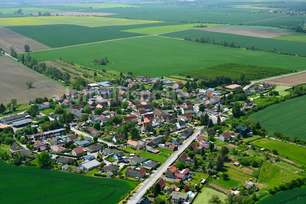 Luftbild Allstedt - Ortsansicht am Rande von landwirtschaftlichen Feldern in Allstedt im Bundesland Sachsen-Anhalt, Deutschland