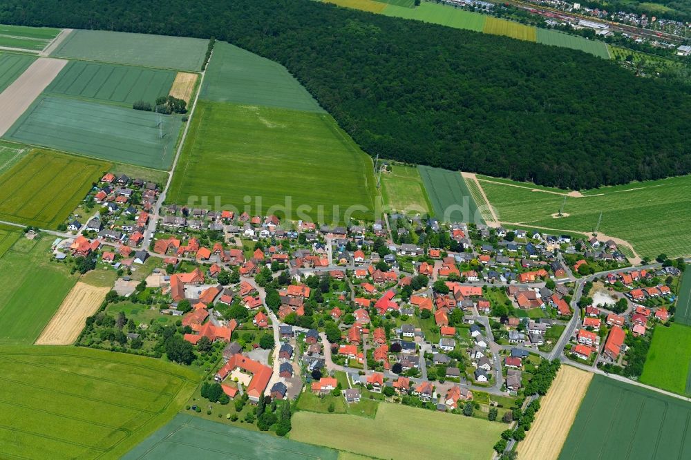 Almhorst aus der Vogelperspektive: Ortsansicht am Rande von landwirtschaftlichen Feldern in Almhorst im Bundesland Niedersachsen, Deutschland