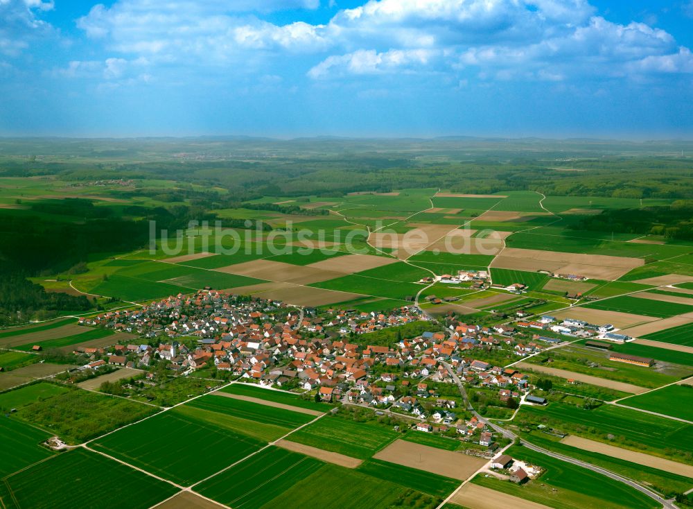 Bermaringen aus der Vogelperspektive: Ortsansicht am Rande von landwirtschaftlichen Feldern in Bermaringen im Bundesland Baden-Württemberg, Deutschland