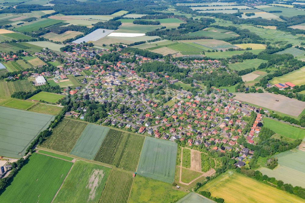 Luftbild Bliedersdorf - Ortsansicht am Rande von landwirtschaftlichen Feldern in Bliedersdorf im Bundesland Niedersachsen, Deutschland