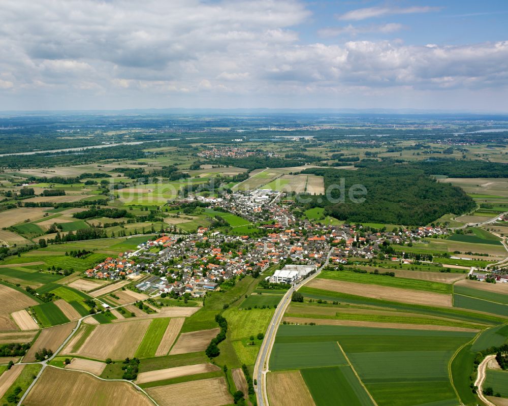 Luftbild Bodersweier - Ortsansicht am Rande von landwirtschaftlichen Feldern in Bodersweier im Bundesland Baden-Württemberg, Deutschland