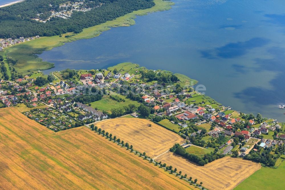 Luftaufnahme Breege - Ortsansicht am Rande von landwirtschaftlichen Feldern in Breege im Bundesland Mecklenburg-Vorpommern, Deutschland